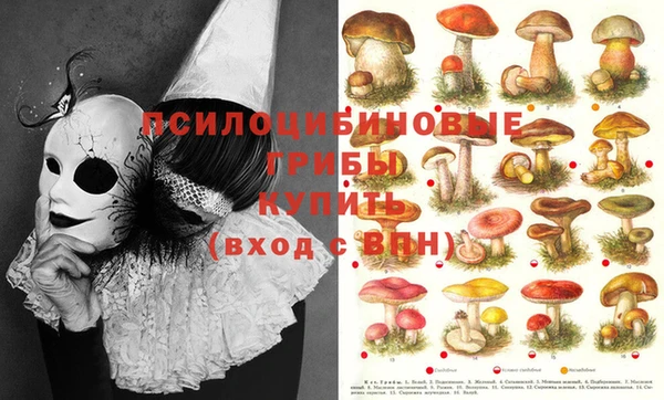 кокаин Зеленокумск