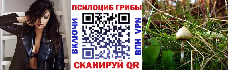 Псилоцибиновые грибы GOLDEN TEACHER  Купить где  Почеп 